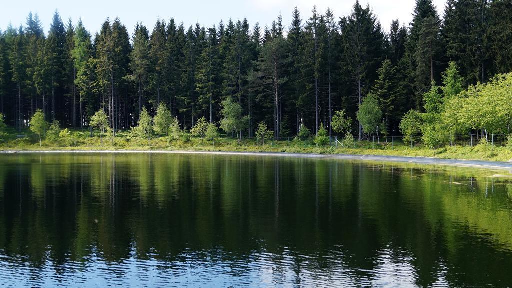 Haus Rose Lägenhet Wenigzell Exteriör bild