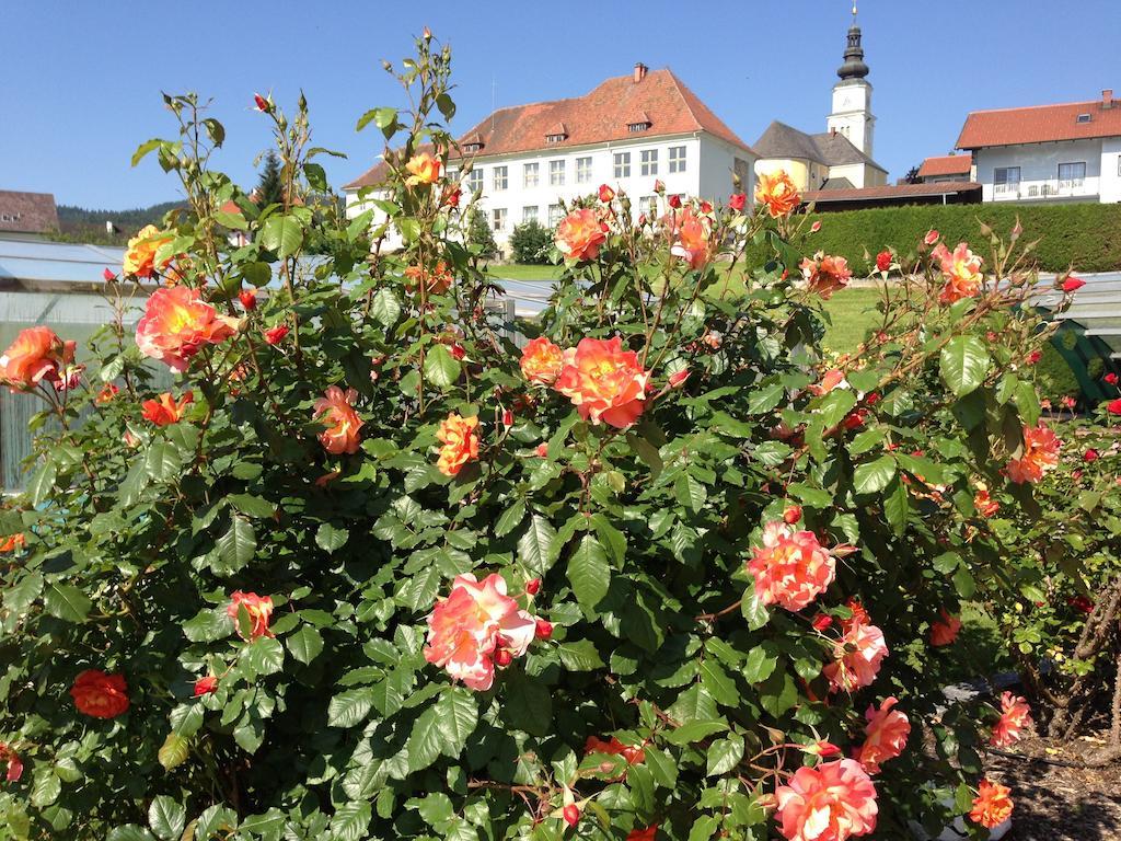Haus Rose Lägenhet Wenigzell Exteriör bild